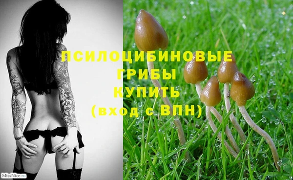 прущая мука Ладушкин