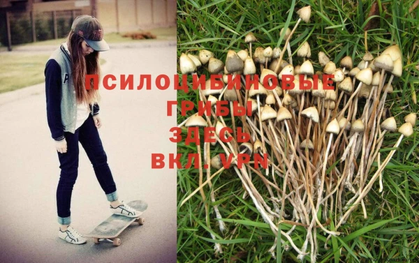 прущая мука Ладушкин